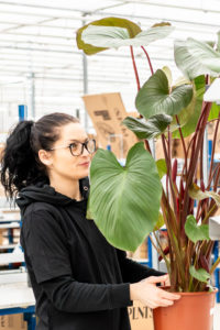 Een meisje met een groot plant